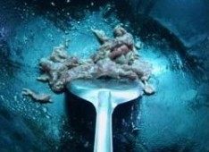罗勒番茄牛肉拌饭步骤2