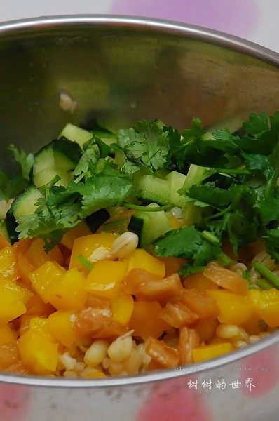 发芽豆子糙米饭步骤4