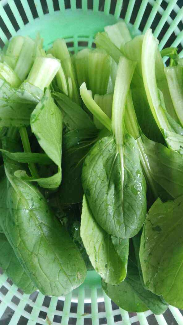 膳丝青菜粥步骤5
