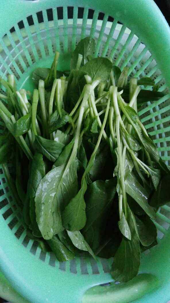 小米青菜蛋花粥步骤5