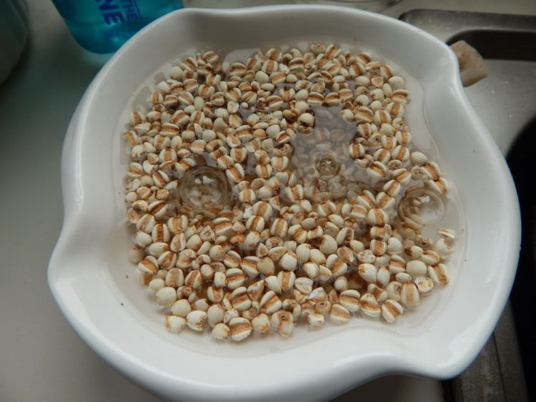 冬瓜薏米排骨汤步骤6