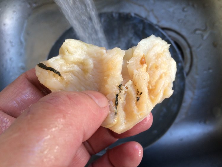 北极贝粥步骤3