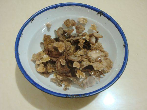 白参菌瘦肉粥步骤2