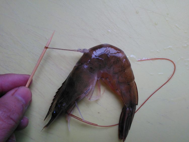 懒人虾粥步骤2