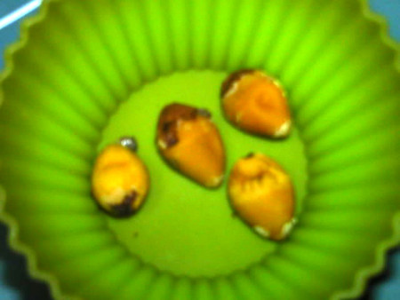养肾八宝糊步骤2