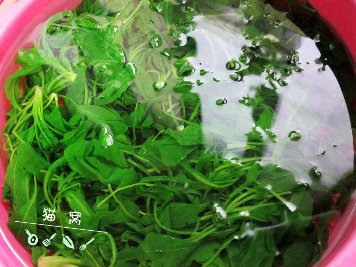 荠菜瘦肉粥步骤5