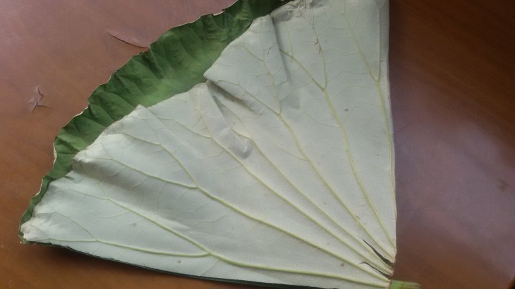 荷叶粥步骤1