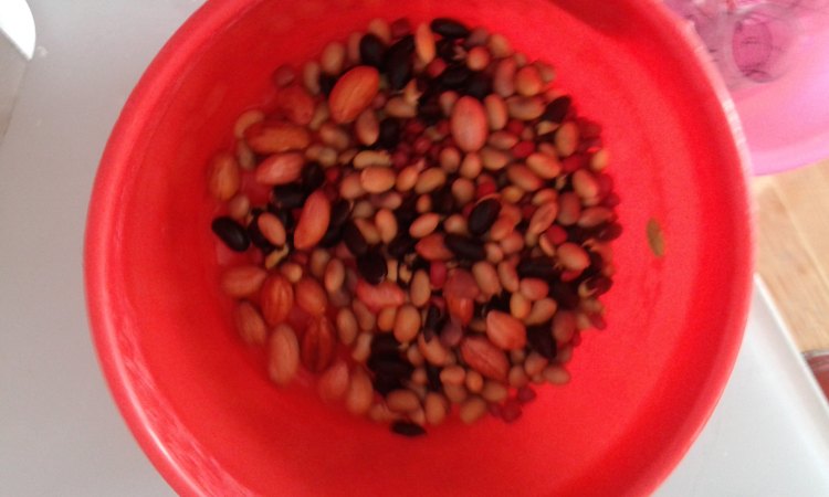 燕麦杂豆大枣糊步骤1