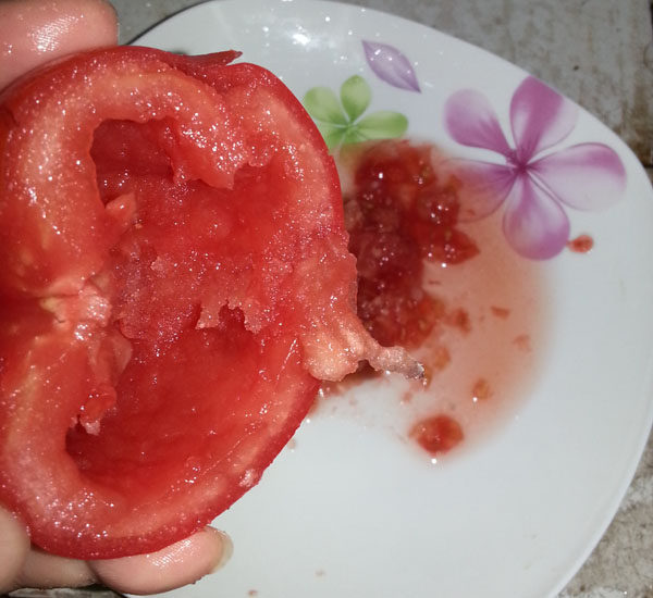 番茄生菜粥步骤3