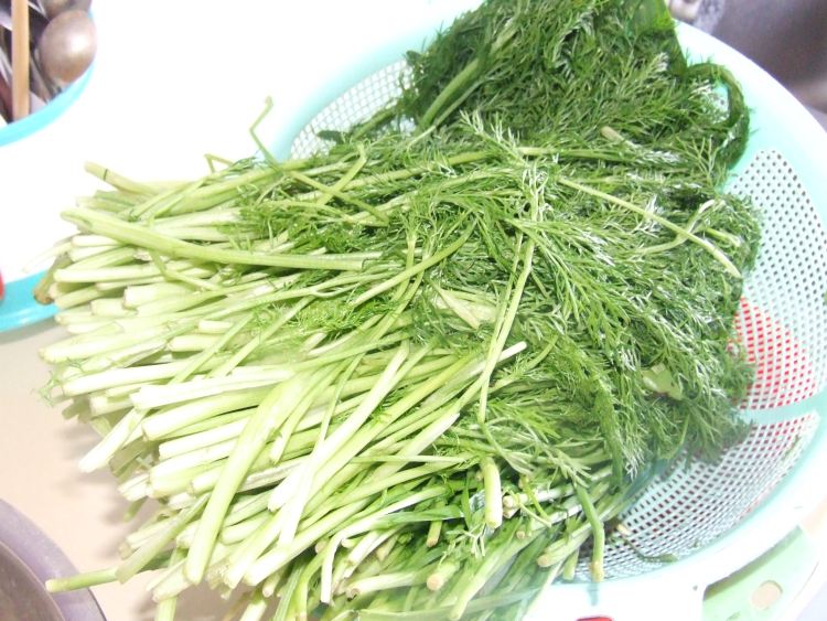 茴香馅饺子步骤2