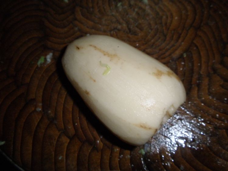 素饺步骤7