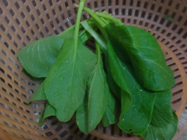 鸡蛋煮面条步骤3
