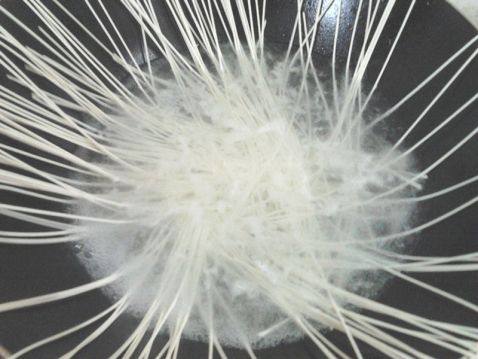 菠菜香菇腊肉面步骤11