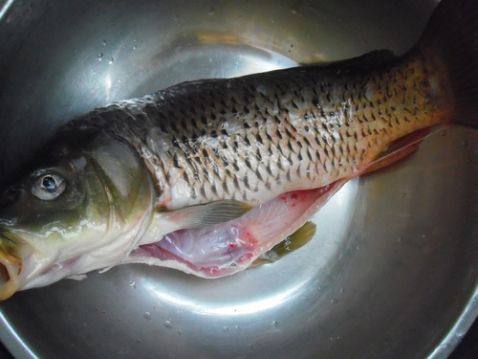 鲤鱼面片步骤1
