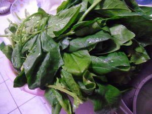 菠菜汁面步骤1