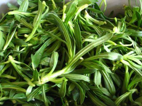 粉蒸面条菜步骤1