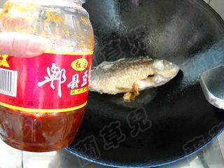 野生鲜鲫鱼焖面步骤6
