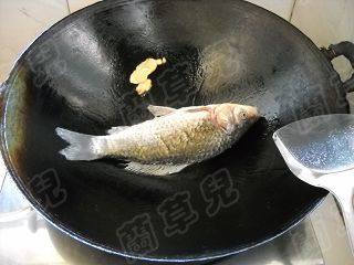 野生鲜鲫鱼焖面步骤5