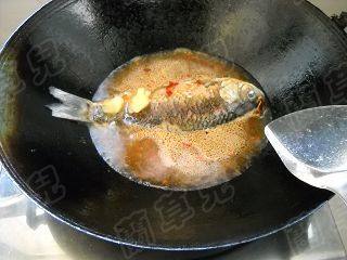 野生鲜鲫鱼焖面步骤7