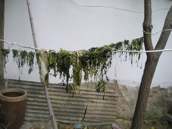 豆面条步骤1