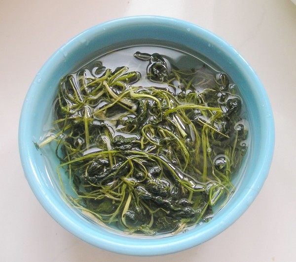 豆面条步骤2