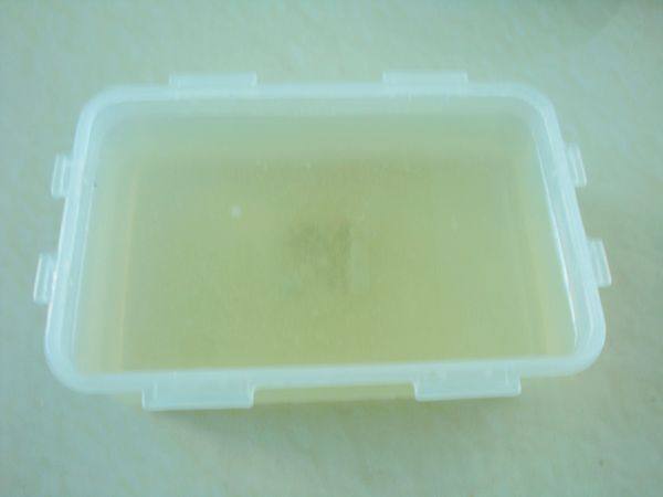 木瓜酸辣粉条步骤4