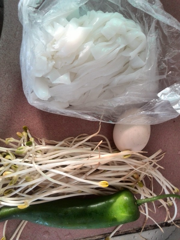 黄豆芽鸡蛋炒河粉步骤1