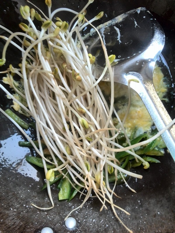 黄豆芽鸡蛋炒河粉步骤7