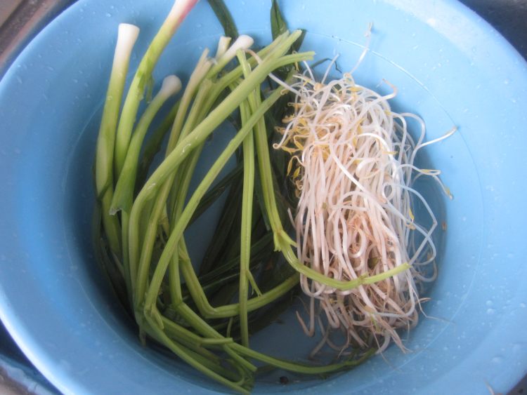 猪肝瘦肉炒河粉步骤3