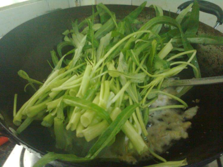空心菜炒粉丝步骤5