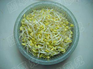 干锅豆芽粉丝步骤1