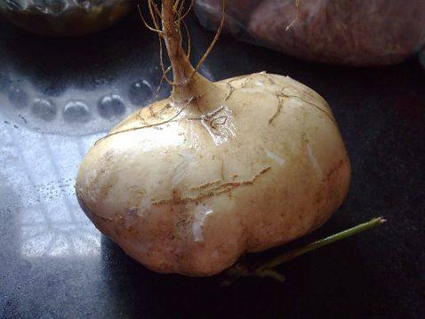 香葱沙葛炒米粉步骤1