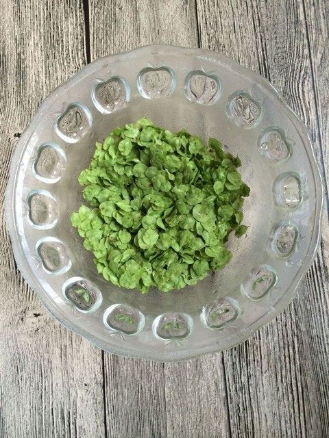 榆钱鸡蛋饼步骤2