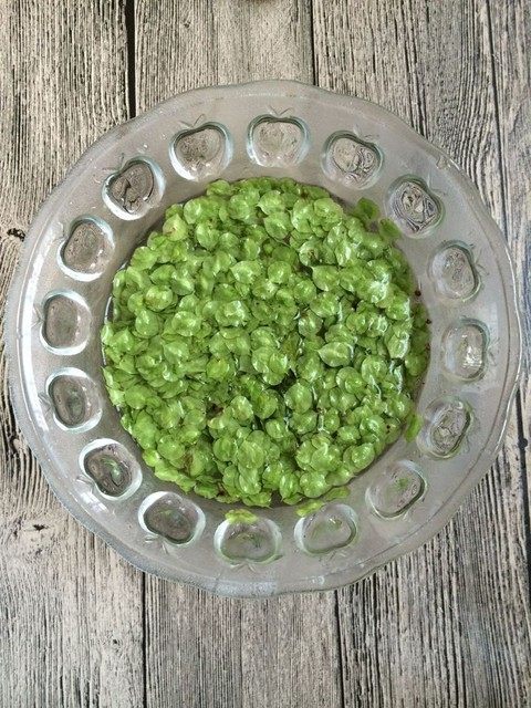榆钱鸡蛋饼步骤3