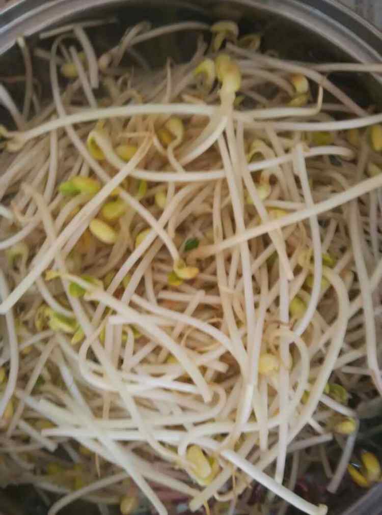 豆芽菜炒饼步骤3