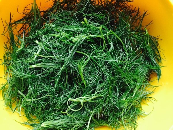 小茴香饼步骤1