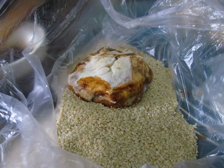 老北京芝麻烧饼步骤14