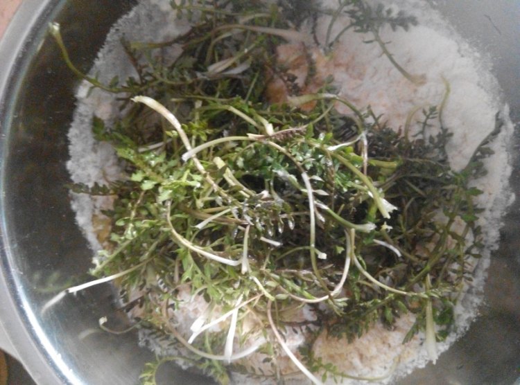 荠菜鸡蛋软饼步骤5