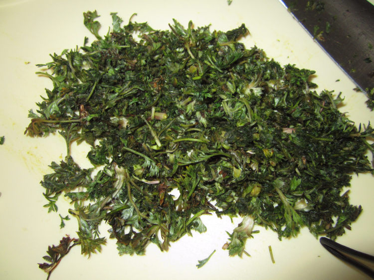 白蒿鸡蛋饼步骤2