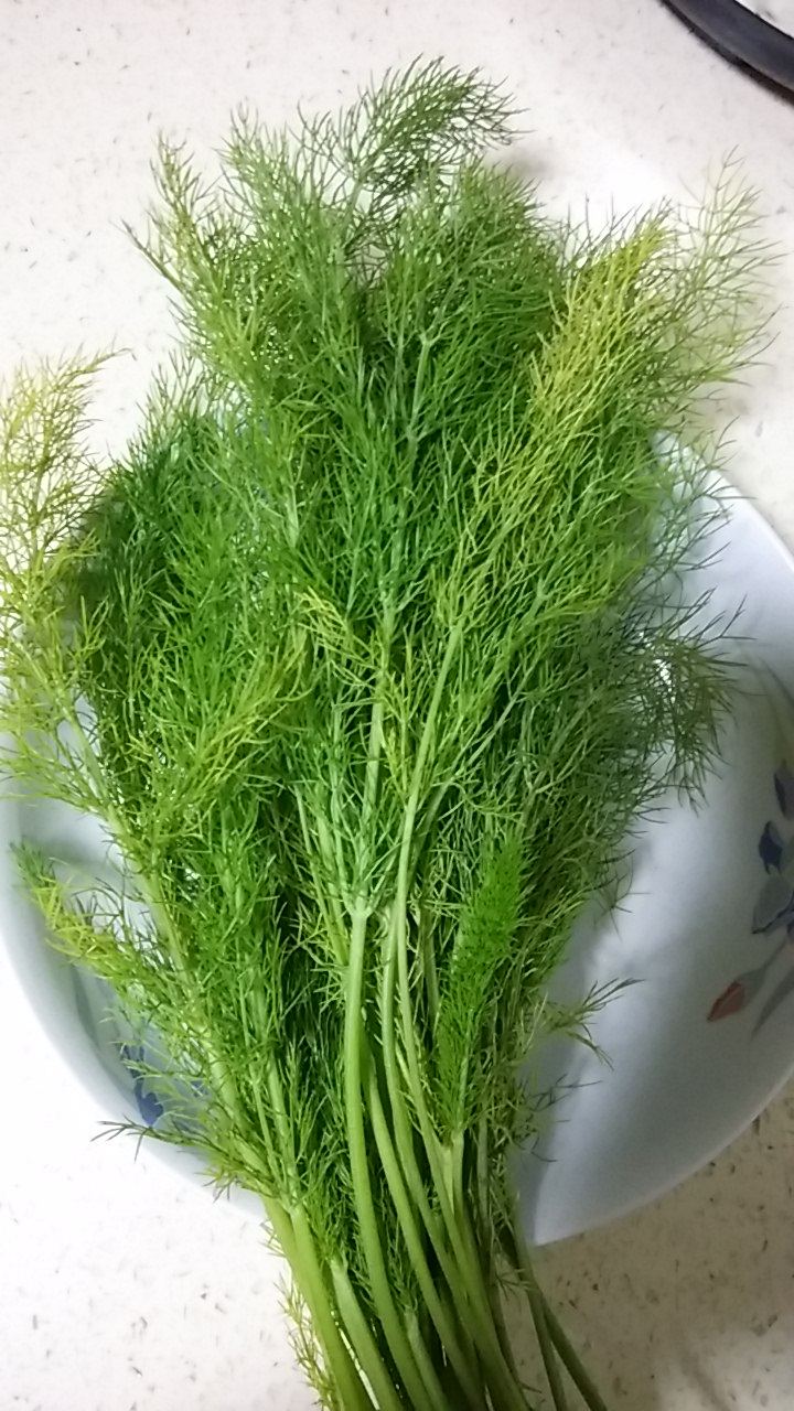 茴香煎饼步骤1