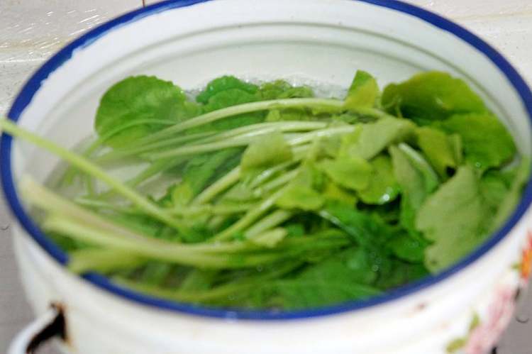 水萝卜缨馅水饺#多效步骤4