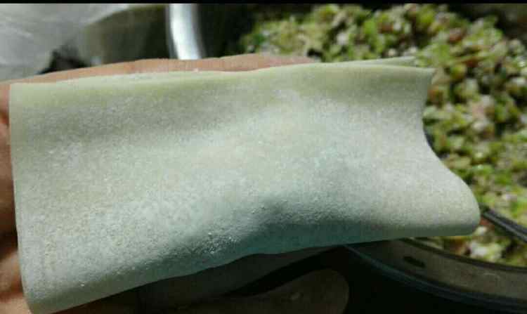 香菇猪肉芦笋馄饨步骤7