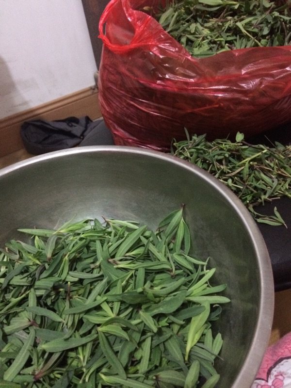 山麻楂饺子步骤1
