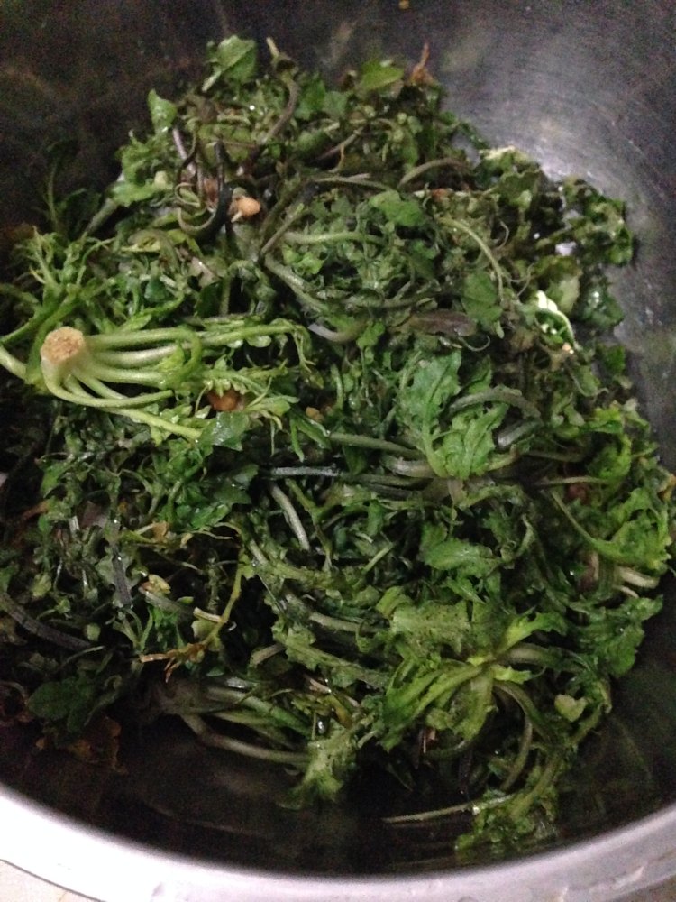 韭菜混合饺步骤11