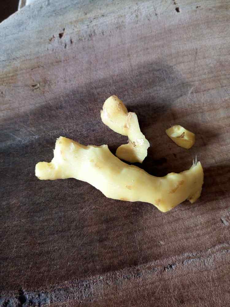 玉米猪肉饺子步骤3