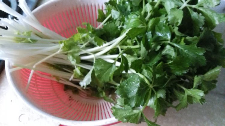 香芹猪肉水饺步骤1