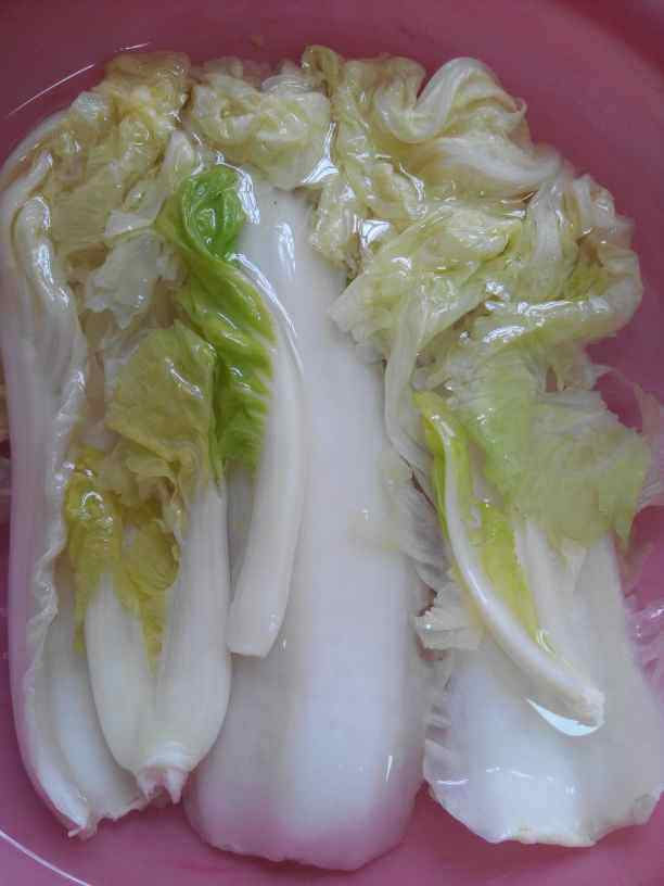 羊肉白菜水饺步骤2