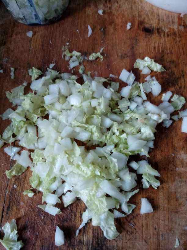 白菜猪肉胡萝卜水饺步骤8