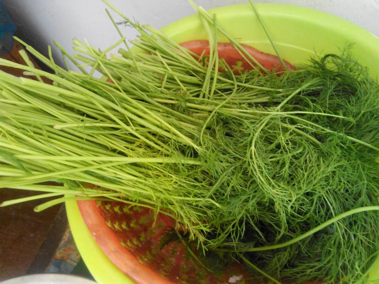 茴香饺子步骤1