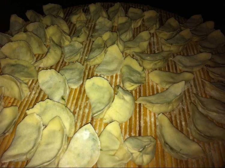 茴香饺子步骤10
